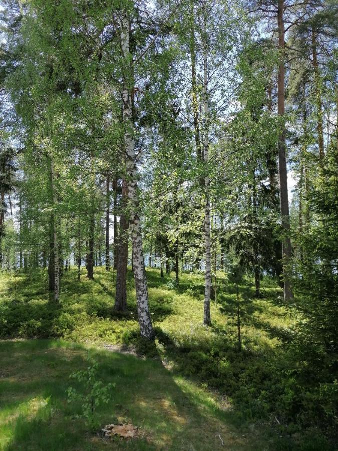 Bed and Breakfast Birgittagarden - Gaesthem - Birgittasystrarna Falun Exterior foto