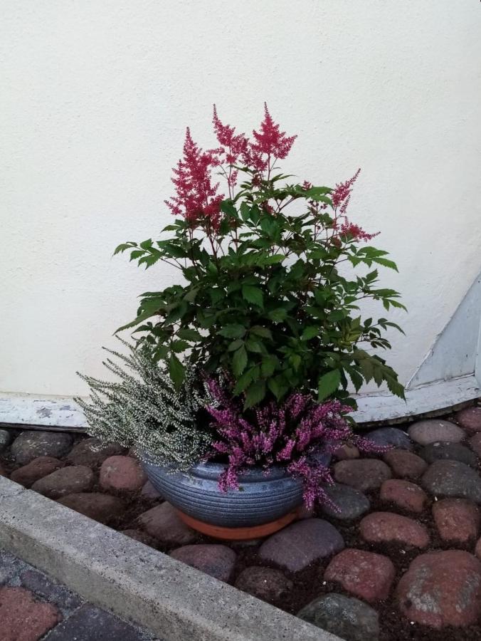 Bed and Breakfast Birgittagarden - Gaesthem - Birgittasystrarna Falun Exterior foto
